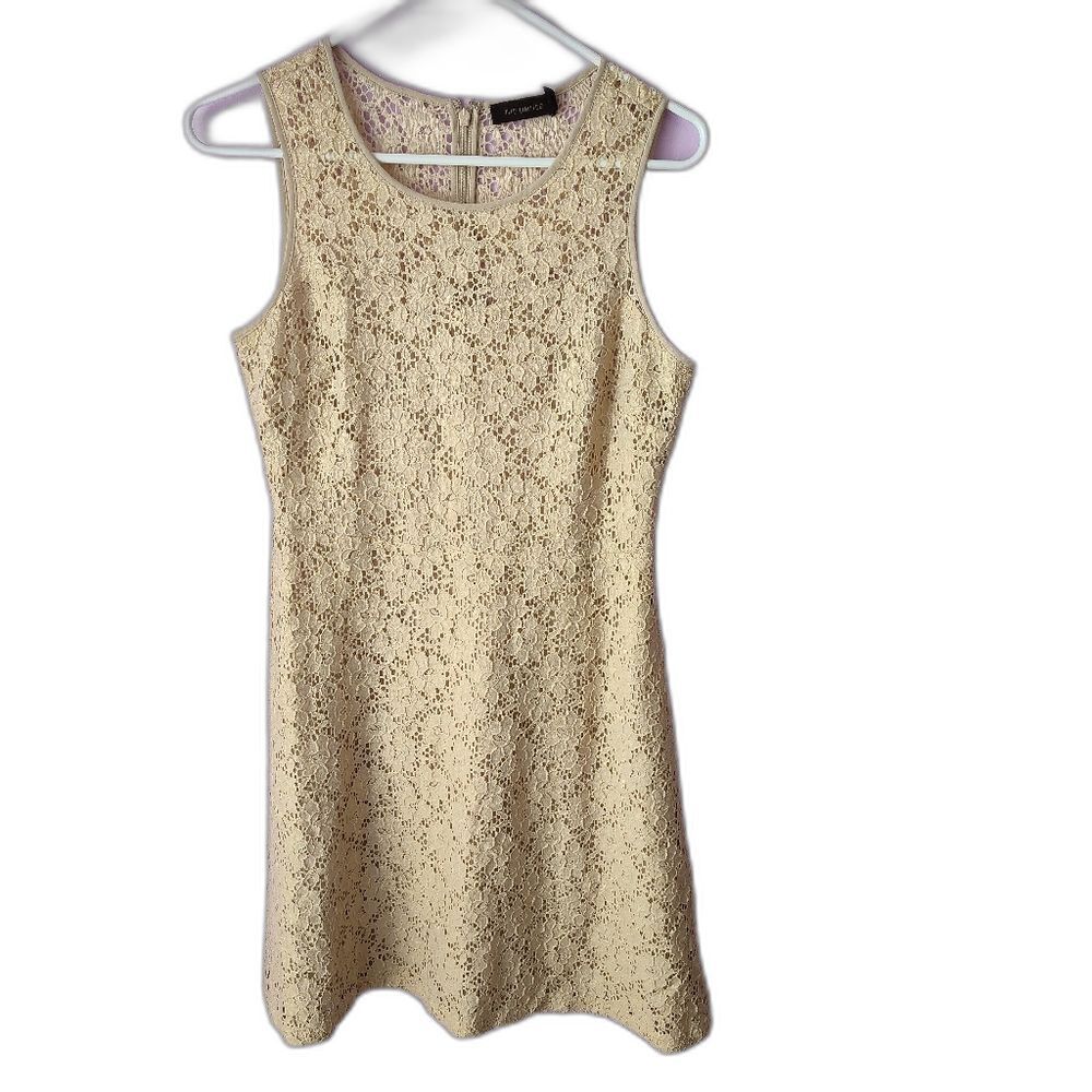 The Limited Dress Womens 4 Cream/Beige Shimmery Gold Floral Lace Sleeveless